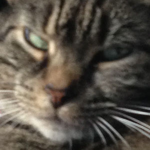 Meet your Posher, Declan